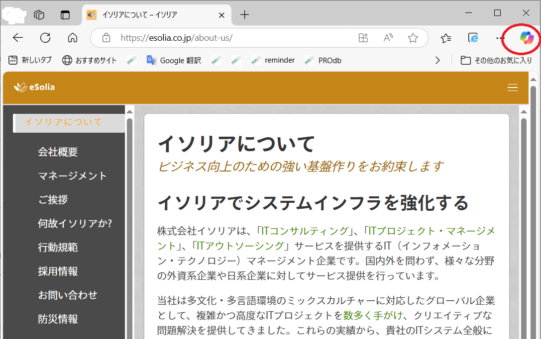 Screenshot of MS Copilot in Edge