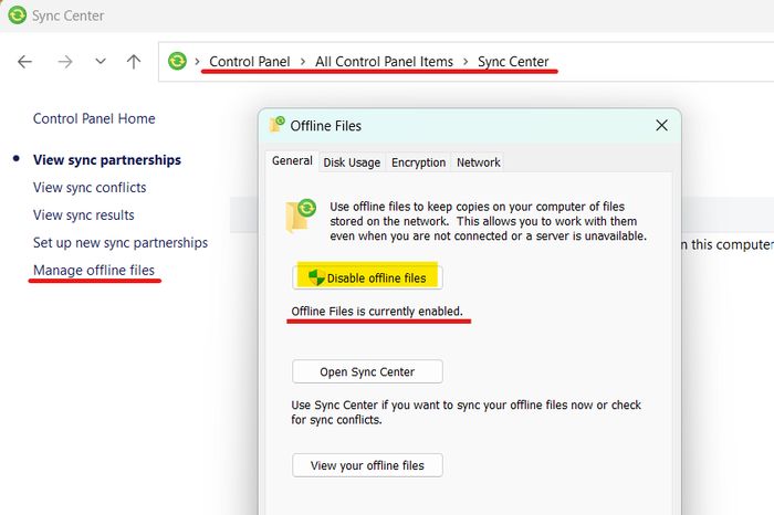 A screenshot of Windows Sync Center
