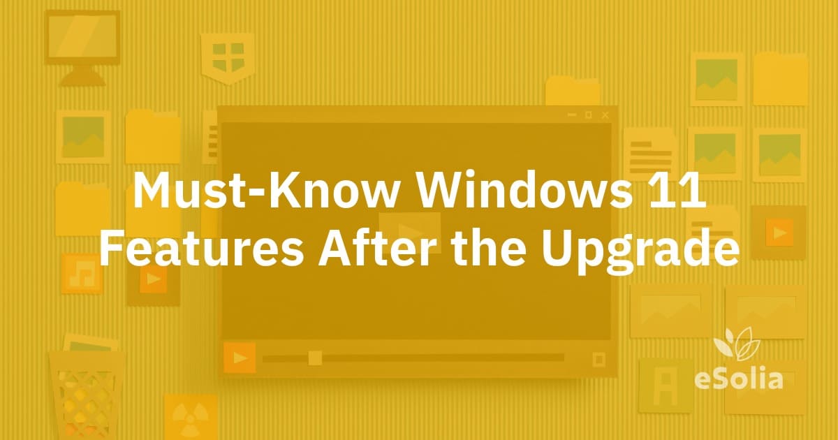 Must-Know Windows 11 Features After the Upgrade
